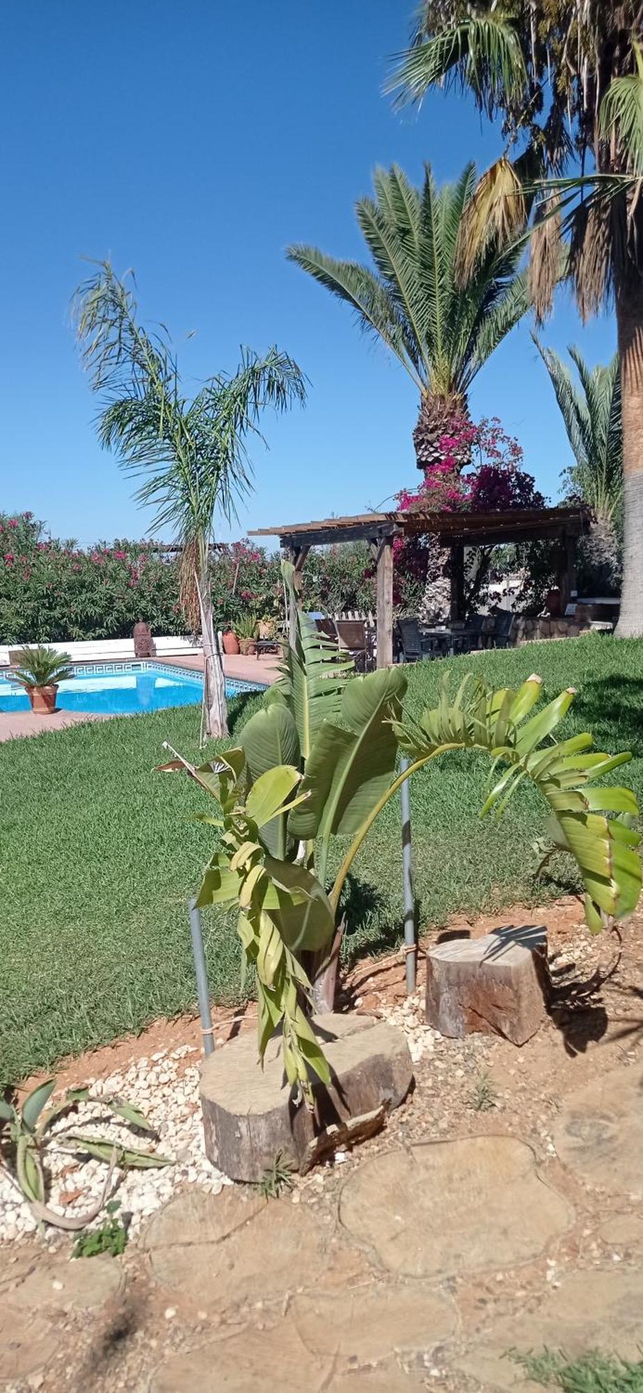 בית הארחה צ'יקלנה דה לה פרונטרה 	La Luciernaga מראה חיצוני תמונה
